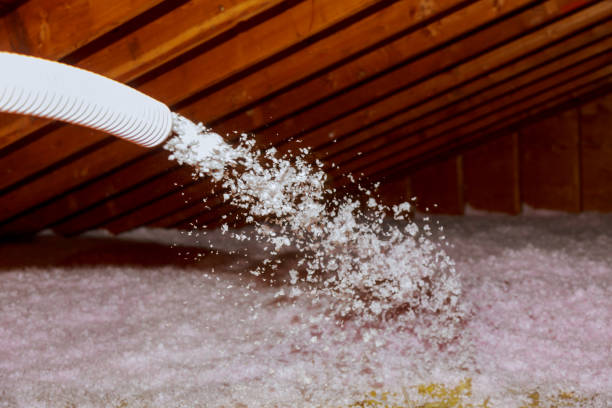 Best Cellulose Insulation in Jefferson, IA
