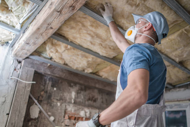 Trusted Jefferson, IA Insulation Contractor Experts