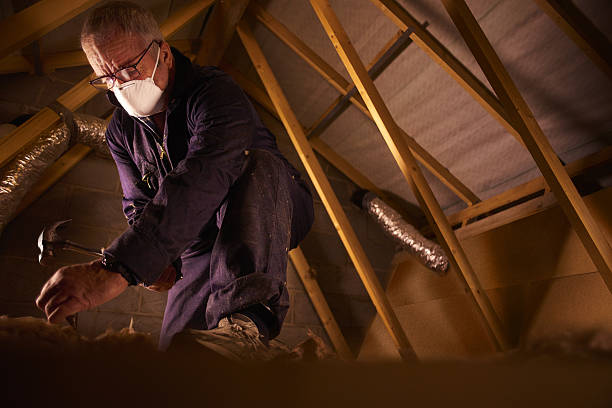 Best Cellulose Insulation in Jefferson, IA